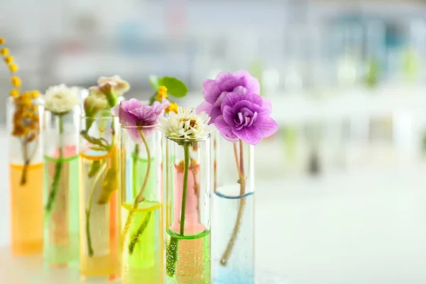Flowers in test tubes on blurred background — Stock Photo, Image