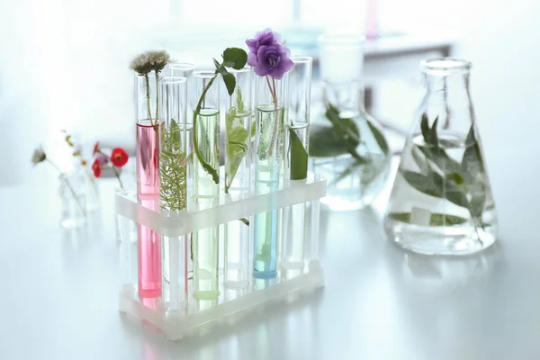 Plants in test tubes on table — Stock Photo, Image