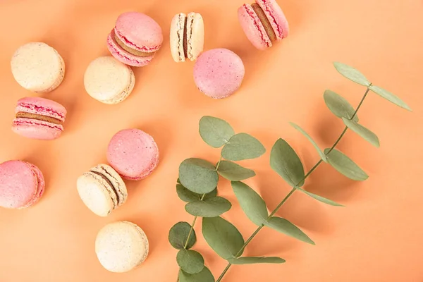 Delicious macarons on color background — Stock Photo, Image
