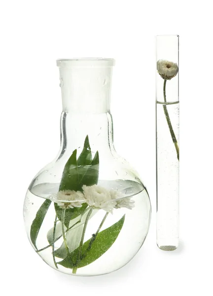 Tubo e frasco de ensaio com flores, isolados sobre branco — Fotografia de Stock