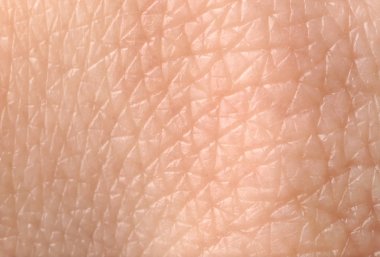 Texture of human skin, closeup clipart