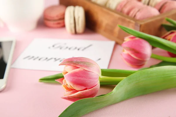 Beautiful tulips on color background — Stock Photo, Image