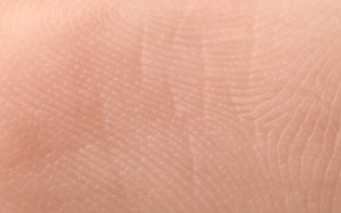 İnsan derisinin dokusu, yakın plan.
