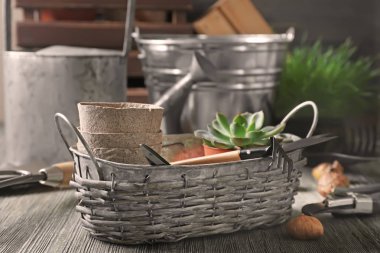 Ahşap masa üzerinde pot bitki ve Bahçe araçları ile metal sepet