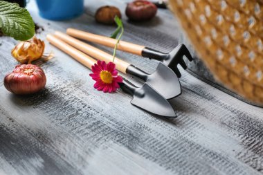 Bahçecilik aletleri ve çiçek soğanı ahşap tablo