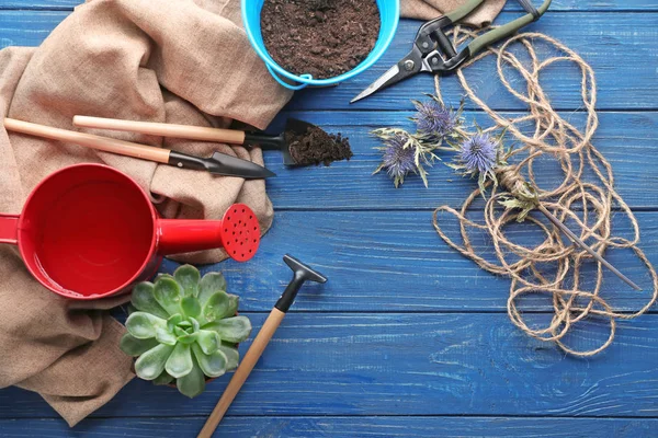 Komposition mit Pflanzen- und Gartengeräten auf farbigem Holzhintergrund — Stockfoto