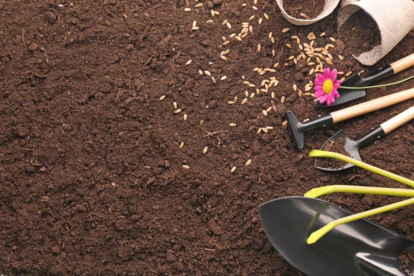 Gardening tools and seeds on ground — Stock Photo, Image