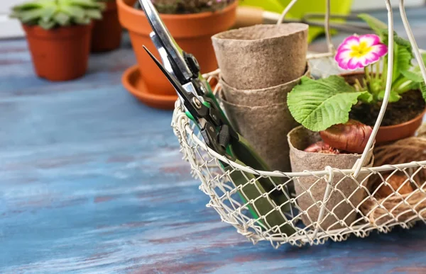 Metal basket with flower, pots and gardening tools on wooden table — Stock Photo, Image