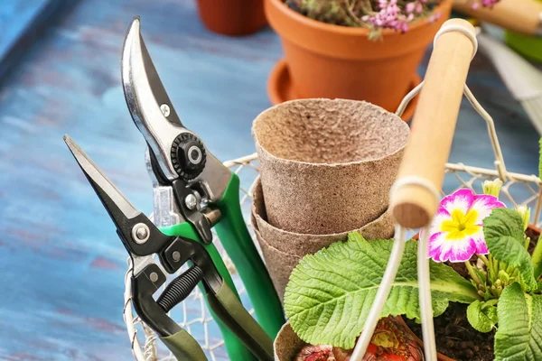 Fleur, pots et outils de jardinage en panier métallique, gros plan — Photo