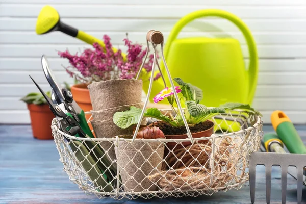 Metal basket with flower, pots and gardening tools on wooden table — Stock Photo, Image