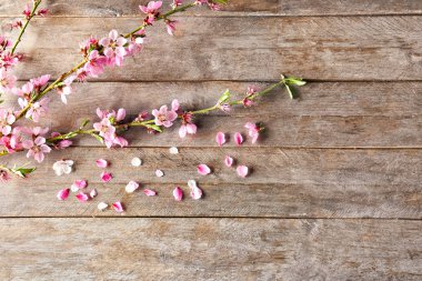 Güzel çiçek dalları ve yaprakları ahşap arka plan üzerinde