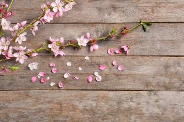 Güzel çiçek dalları ve yaprakları ahşap arka plan üzerinde