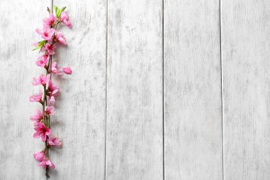 Güzel çiçek açması dal ve yaprakları ahşap arka plan üzerinde