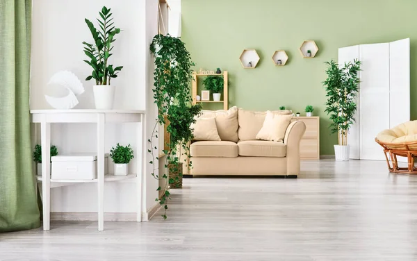 Gaya interior ruangan dengan tanaman rumah tangga hijau — Stok Foto