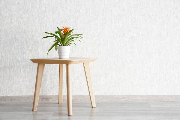 白い壁の近くの観葉植物とスタイリッシュなテーブル — ストック写真