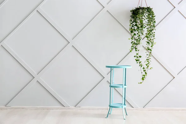 Stylowy stół z rośliną w pobliżu szarej ściany — Zdjęcie stockowe
