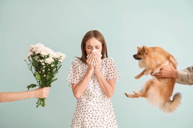İnsanlar arka planda alerjisi olan genç bayana çiçek ve köpek veriyorlar.