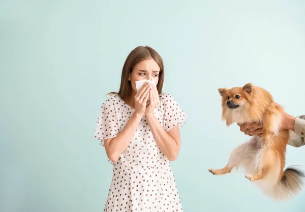 Hombre dando perro a mujer joven que sufre de alergia sobre fondo claro — Foto de Stock