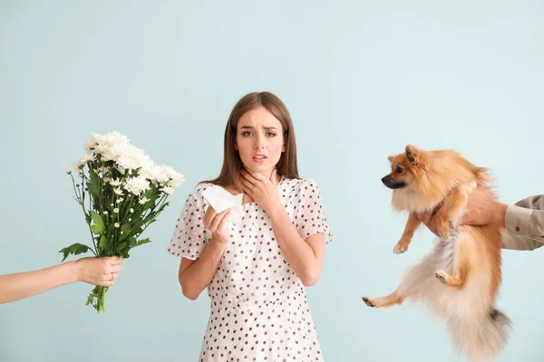 People giving flowers and dog to young woman suffering from allergy on light background — Stock Photo, Image