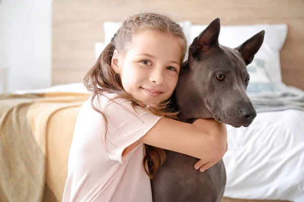 Liten flicka med söta hund hemma — Stockfoto