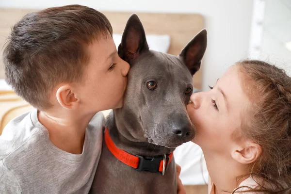 Crianças pequenas com cão bonito em casa — Fotografia de Stock