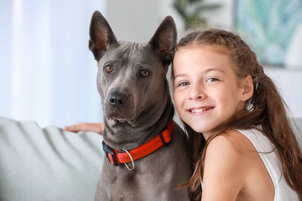 Menina com cão bonito em casa — Fotografia de Stock