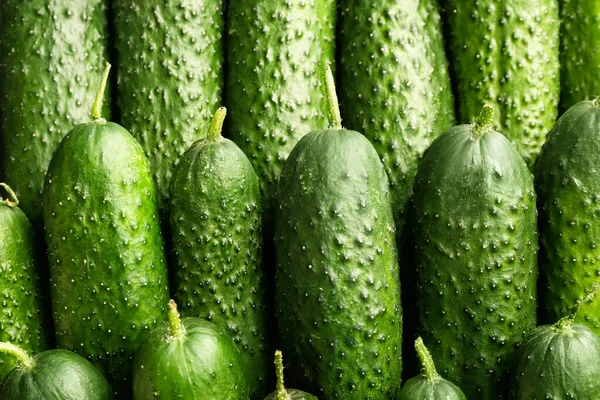Fresh green cucumbers as background — Stock Photo, Image