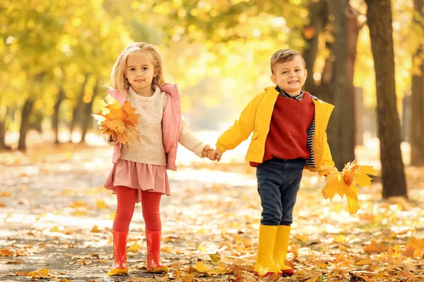Lindos niños pequeños con hojas en el parque en el día de otoño —  Fotos de Stock