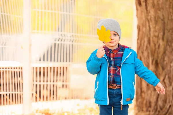 Menino bonito com folha no parque no dia de outono — Fotografia de Stock