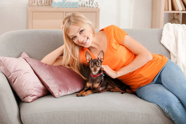 Beautiful young woman with cute toy terrier dog at home — Stock Photo, Image