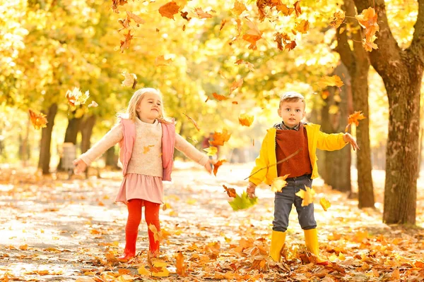 Lindos niños divirtiéndose en el parque de otoño —  Fotos de Stock