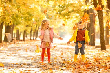 Sevimli küçük çocuk sonbahar parkta eğleniyor
