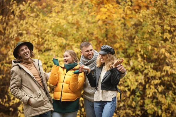 Skupina přátel v podzimním parku — Stock fotografie