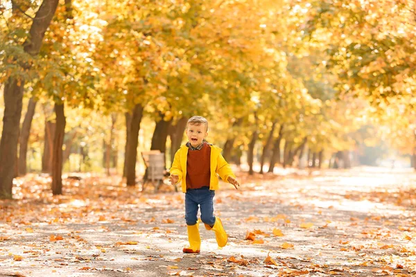 Cute little boy having fun in autumn park — Stock Photo, Image