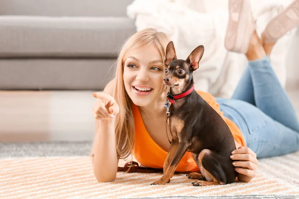 Beautiful young woman with cute toy terrier dog at home — Stock Photo, Image