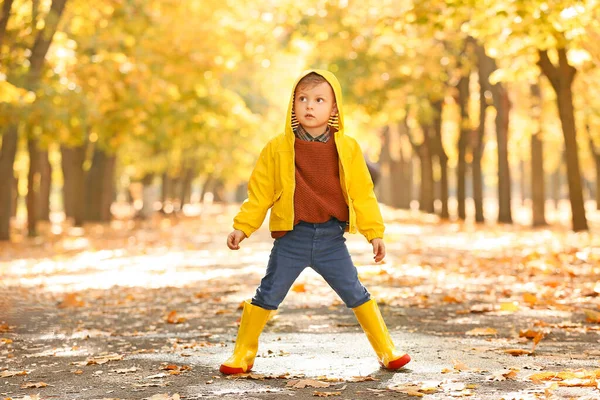 Cute little boy in park on autumn day — Stock Photo, Image
