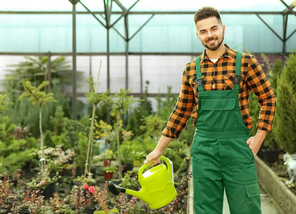 Guapo jardinero masculino trabajando en invernadero — Foto de Stock