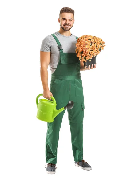 Snygg manlig trädgårdsmästare med vattenkanna och plantera på vit bakgrund — Stockfoto