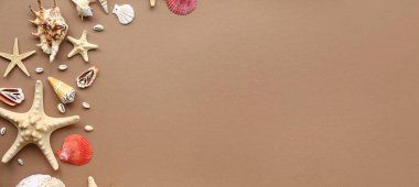 Beautiful sea shells and starfishes on color background with space for text