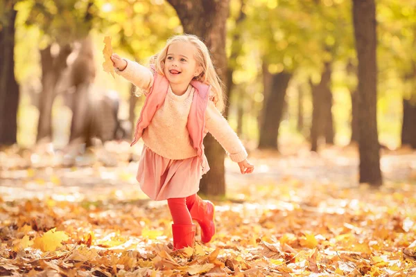 可爱的小女孩，在秋天公园玩乐 — 图库照片