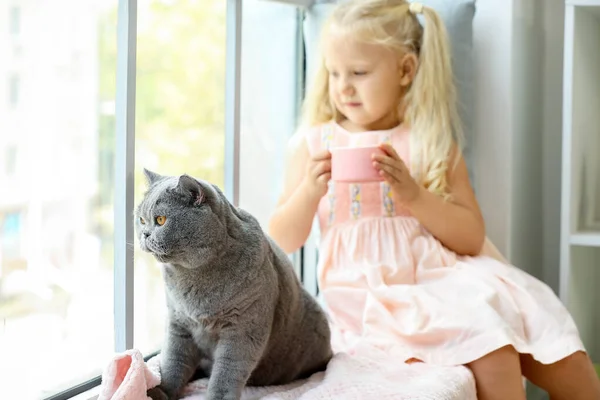 Petite fille avec chat mignon près de la fenêtre — Photo