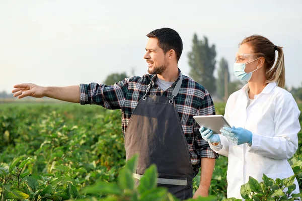 Agricultural engineers working in field — Stock Photo, Image