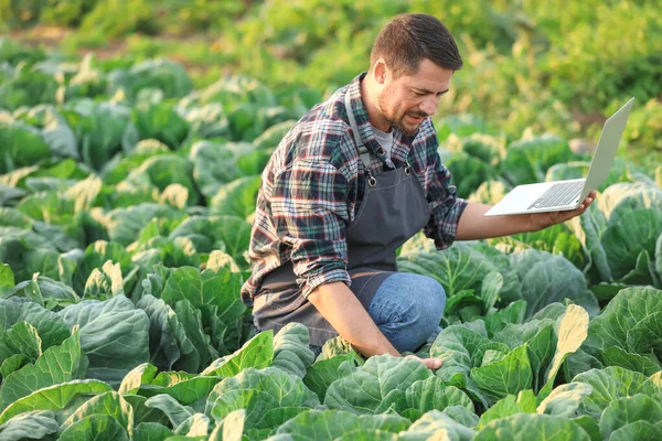Erkek tarım mühendisi sahada çalışıyor. — Stok fotoğraf