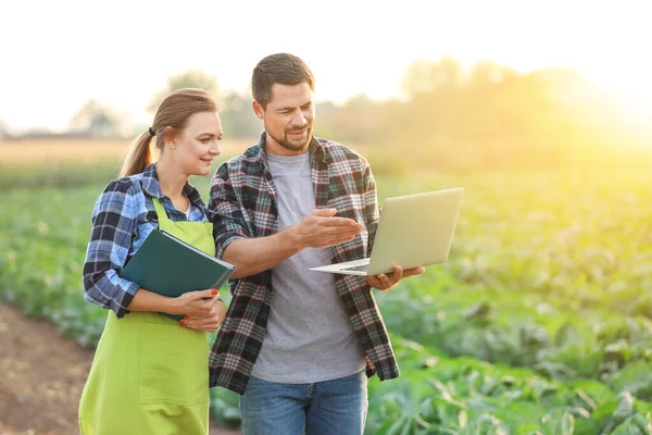 Agricultural engineers working in field — Stock Photo, Image