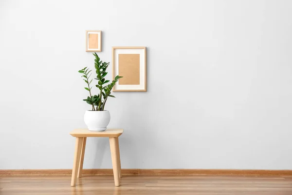 Houseplant on table near white wall in room — Stock Photo, Image