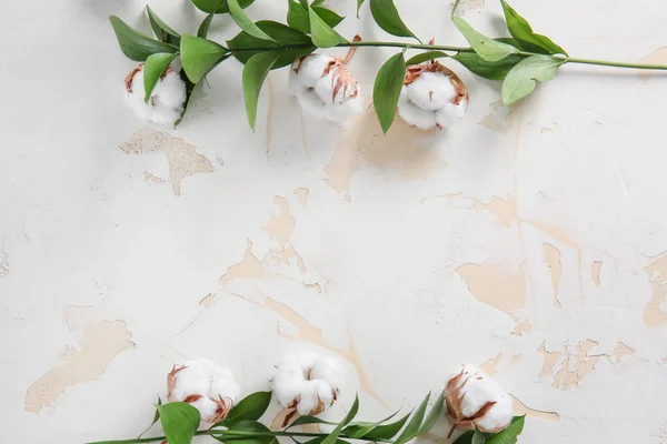 Hermosas flores de algodón con ramas verdes sobre fondo blanco — Foto de Stock