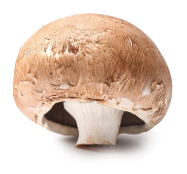 Beyaz arka plan üzerinde taze champignon mantar