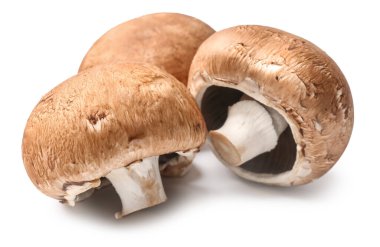 Beyaz arka planda taze şampiyon mantarları