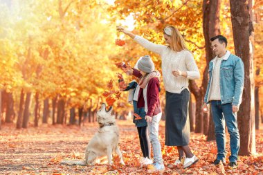 Mutlu aile sonbahar parkında köpekle oynuyor.