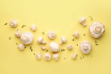 Renkli arka planda taze mantarlar